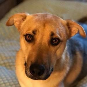 Meet your Posher, Mariah